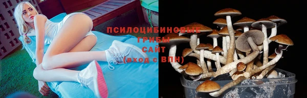 a pvp Алзамай