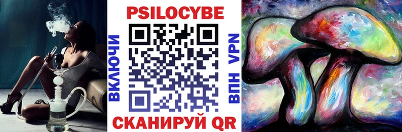 Галлюциногенные грибы Psilocybe  Нижние Серги 
